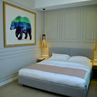 Полулюкс, большая двуспальная кровать (Junior Suite)
